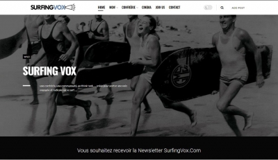SURFING VOX